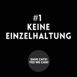 Save Cats keine Einzelhaltung