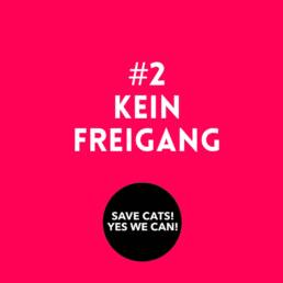 Save Cats kein Freigang