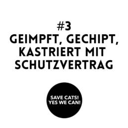 Save Cats kastriert